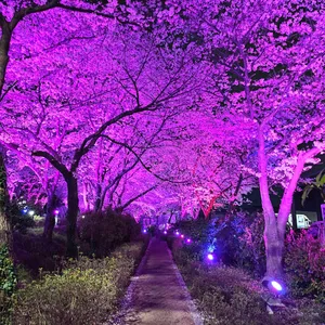 카페파밀리에 리뷰 사진