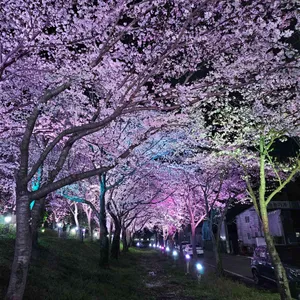 카페파밀리에 리뷰 사진