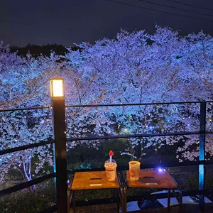 카페파밀리에 리뷰 사진