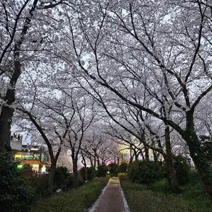 카페파밀리에 리뷰 사진