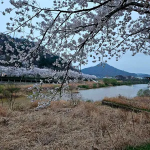 카페파밀리에 리뷰 사진