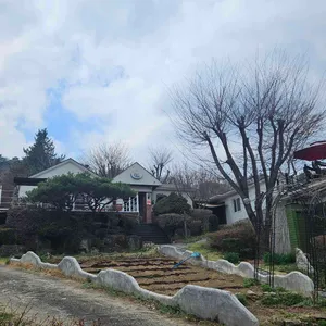 꽃다지쌈밥 사진