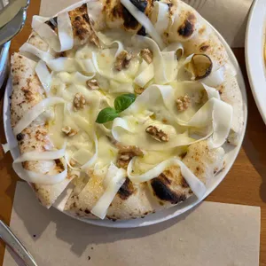 주토피아 대표 사진