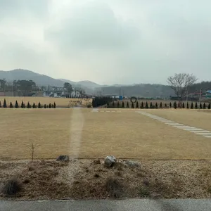 카페 지새울 리뷰 사진