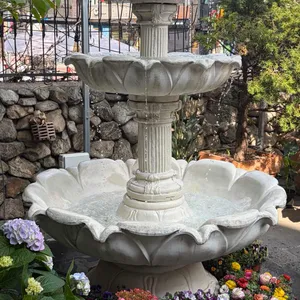 콜린 대표 사진