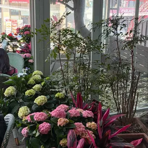 콜린 대표 사진