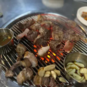 돈지 사진 2