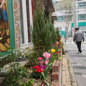 랑콩뜨레 대표 사진