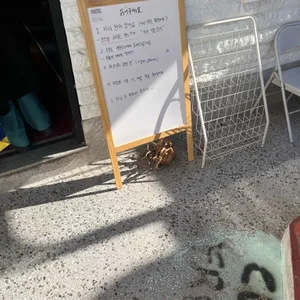 컴팩트 프리덤 리뷰 사진