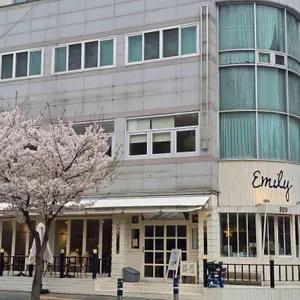 에밀리 베이커리 사진 1