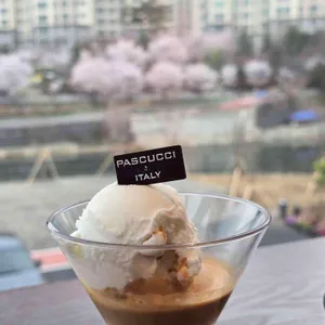 파스쿠찌 대표 사진