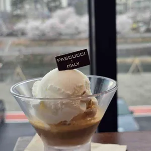 파스쿠찌 대표 사진