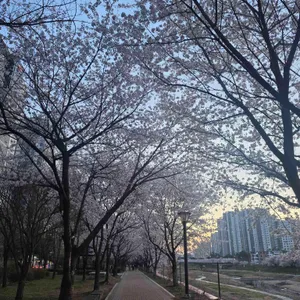 피네 대표 사진