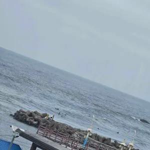 바다뷰 제빵소 리뷰 사진