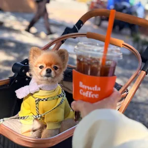 브루다커피 사진 2