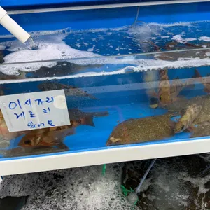 풍어수산 리뷰 사진