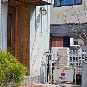 밀라플라 대표 사진