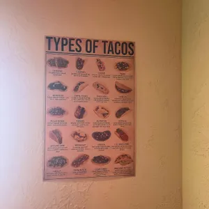 몰리또 리뷰 사진