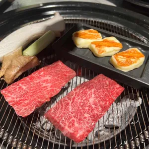 우화 대표 사진