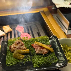 킨슈 대표 사진