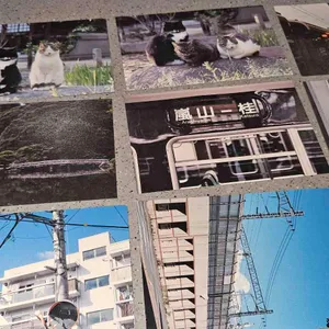 롱베케이션 대표 사진