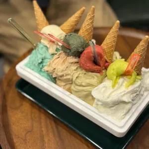 젤라떼리아 징코 사진 1