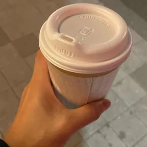 파이드파이퍼 사진 1