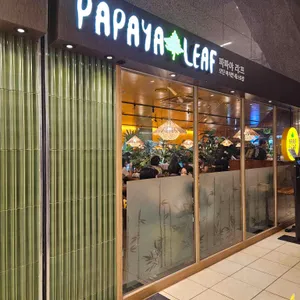 파파야리프 대표 사진