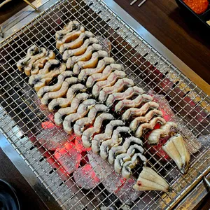 유일장어 사진 1