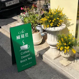 쎄제르 리뷰 사진