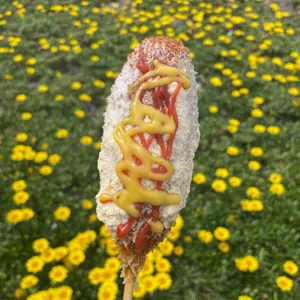 가파도 김진현핫도그 사진 1