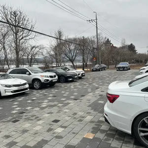 팔팔닭떡볶이 리뷰 사진