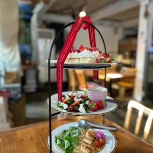 데일리라운드 대표 사진