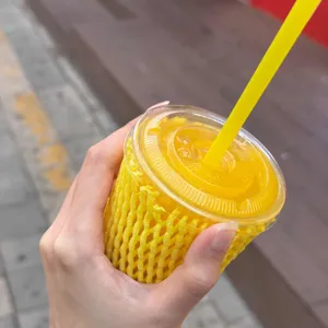 고망고 사진 1