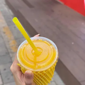 고망고 사진 2
