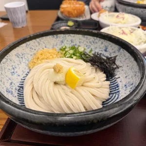 코시 대표 사진