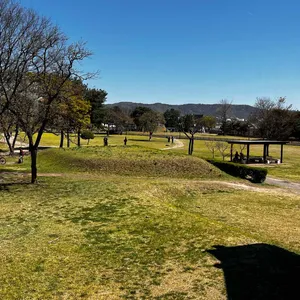 조르바 대표 사진