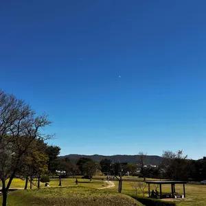 조르바 대표 사진