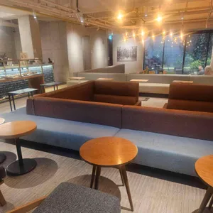 시드누아 대표 사진