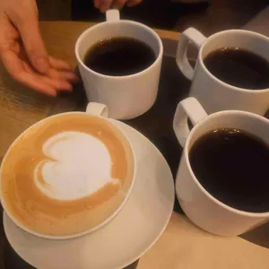 시드누아 대표 사진