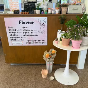 마이데이플라워카페 대표 사진