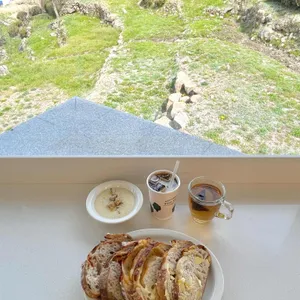 숲속 대표 사진