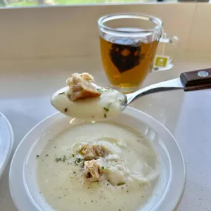 숲속 대표 사진