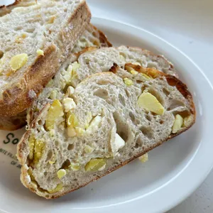 숲속 대표 사진