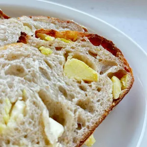 숲속 대표 사진