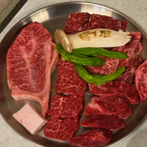 백송 대표 사진