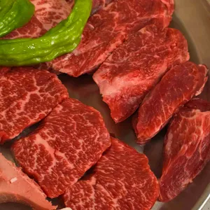 백송 대표 사진