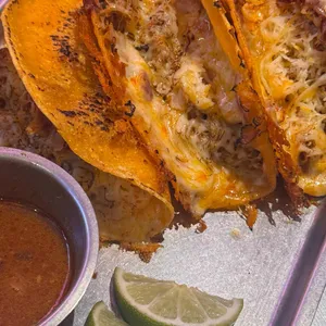 더타코부스 대표 사진