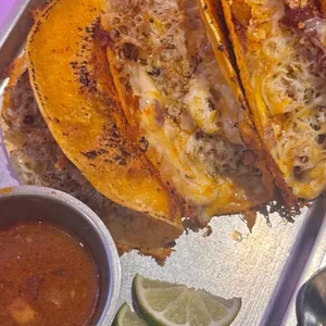 더타코부스 대표 사진