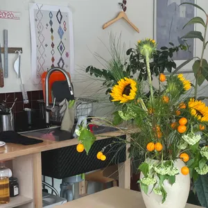 로잉커피바 대표 사진